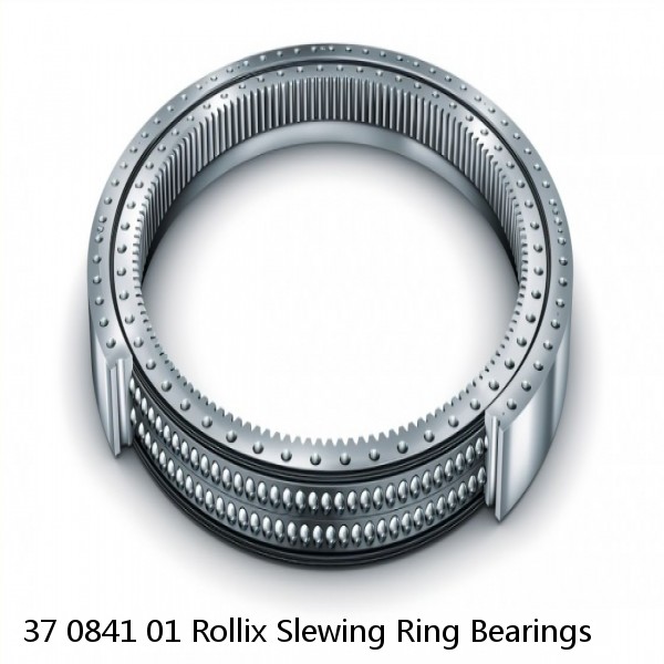 37 0841 01 Rollix Slewing Ring Bearings