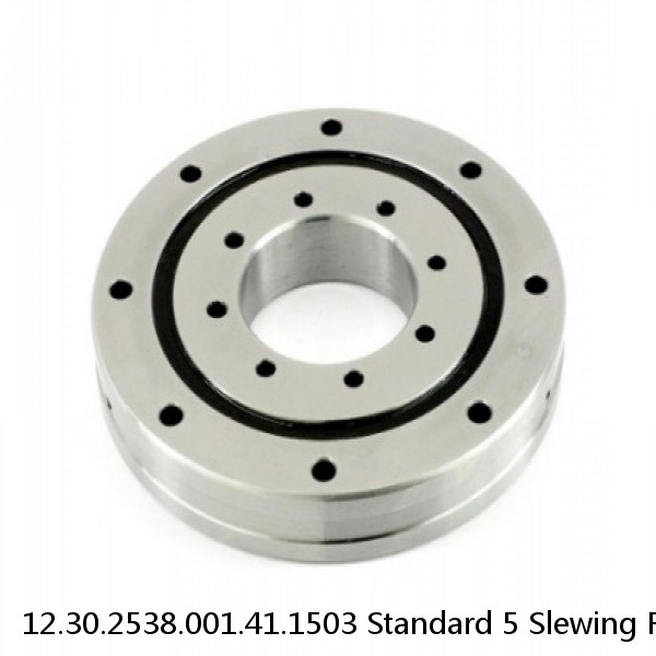 12.30.2538.001.41.1503 Standard 5 Slewing Ring Bearings #1 small image