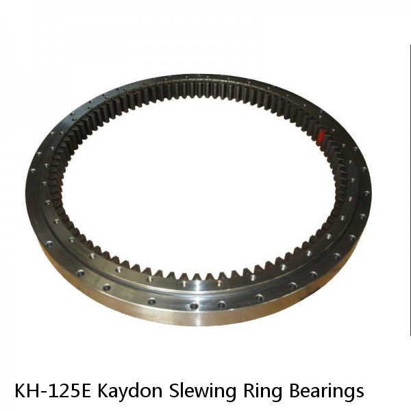 KH-125E Kaydon Slewing Ring Bearings #1 image