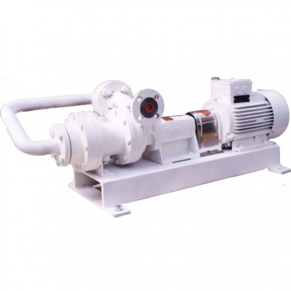 SUMITOMO QT63-80-A High Pressure Gear Pump #1 image