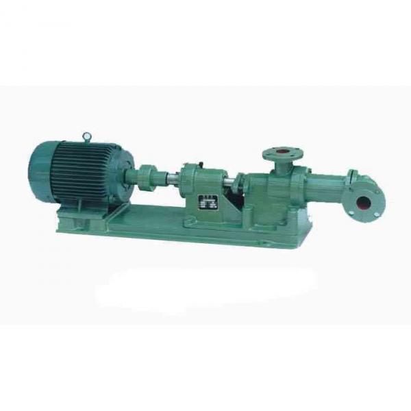 SUMITOMO CQTM54-50FV+15-2-T-M-S1307J-A-200V Double Gear Pump #2 image