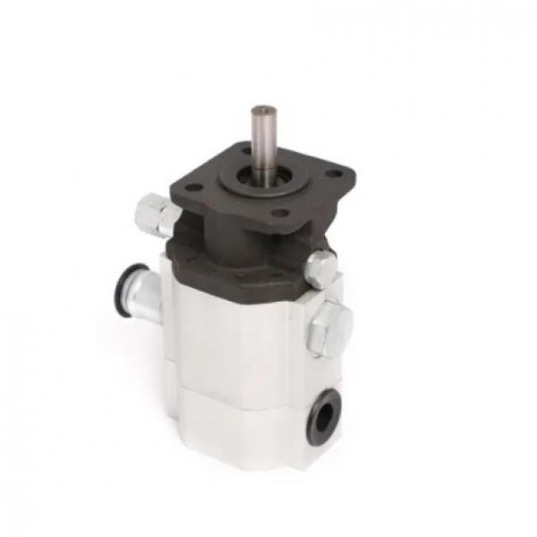 SUMITOMO QT51-100-A Low Pressure Gear Pump #1 image