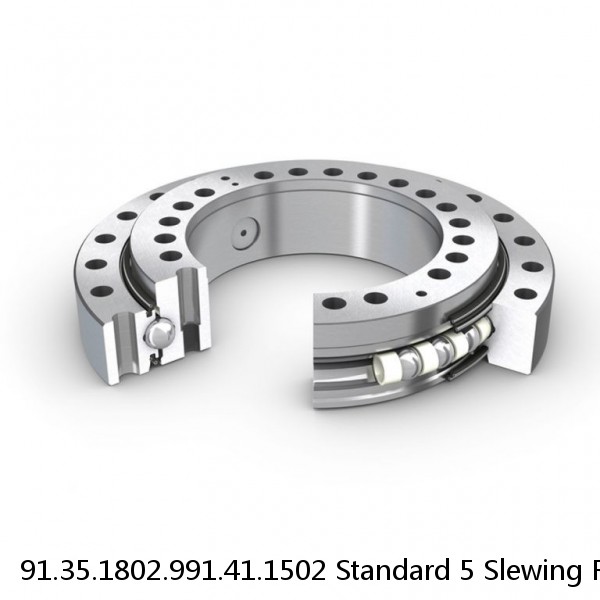 91.35.1802.991.41.1502 Standard 5 Slewing Ring Bearings #1 image