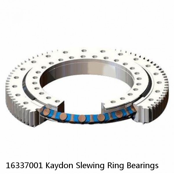 16337001 Kaydon Slewing Ring Bearings #1 image